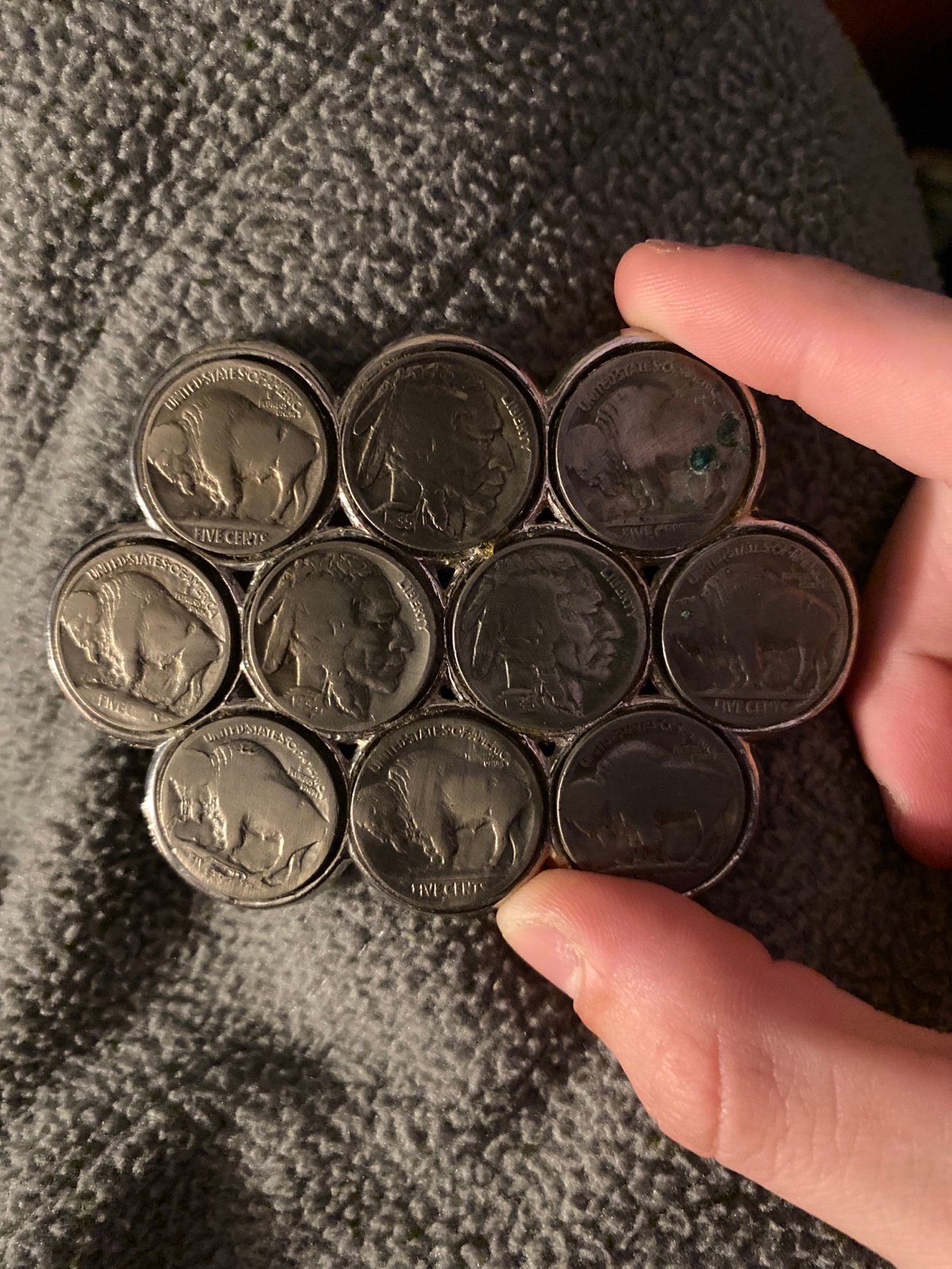 buffalo coin belt buckle
