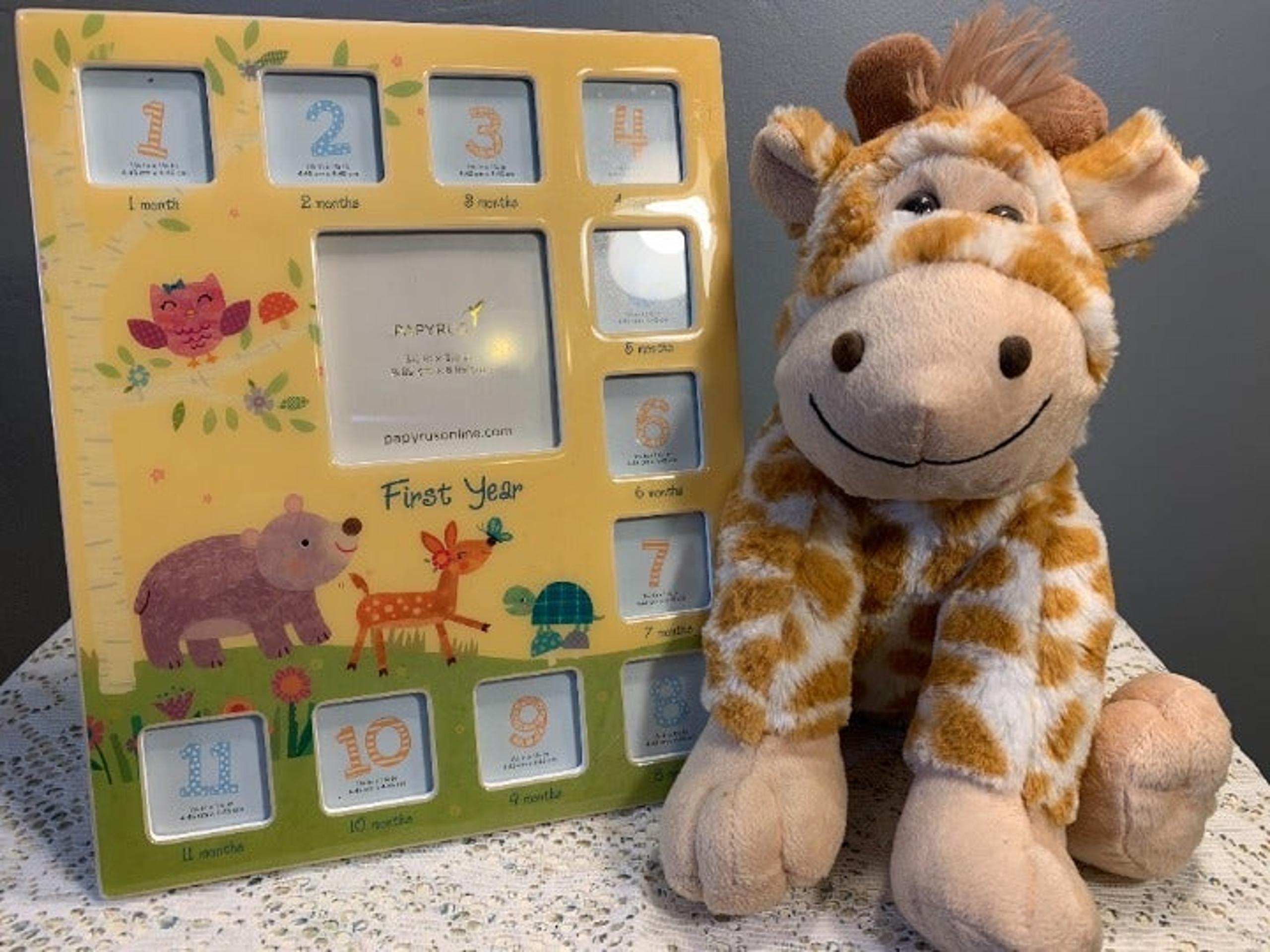 Papyrus Baby First Year Photo Frame 11x9