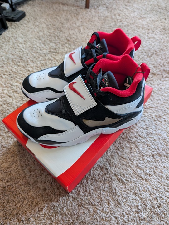 Nike Air Diamond Turf 49ers (2025)