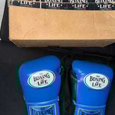 No Boxing No Life Gloves 10 oz pro fight