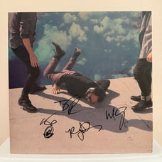 Local Natives Hummingbird SIGNED AUTOGRAPHED Vinyl