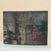 Local Natives Hummingbird SIGNED AUTOGRAPHED Vinyl