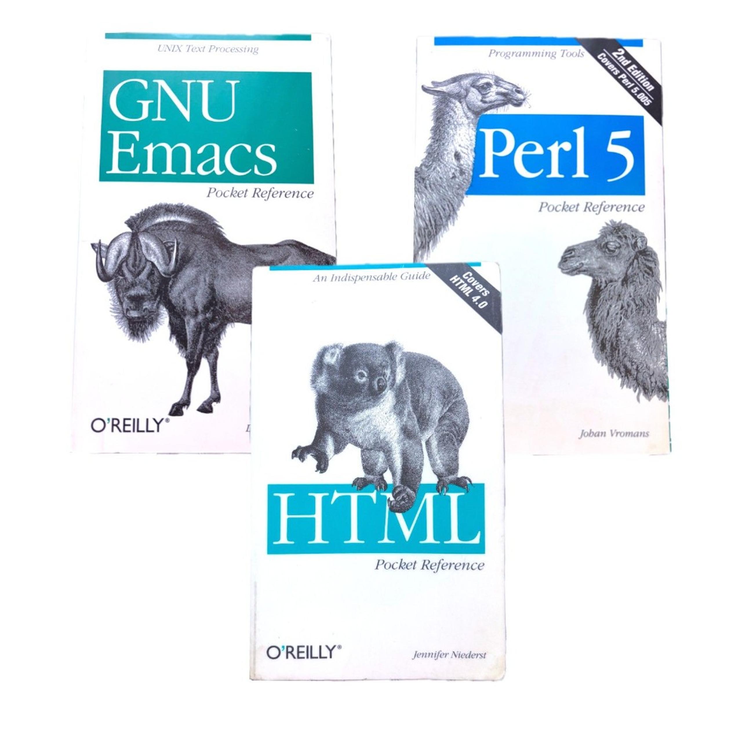 Y2K Programming Book Bundle