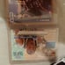 Topps,Fleer,Upper Deck baseball cards
