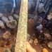 Moss agate tower