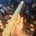 Moss agate tower