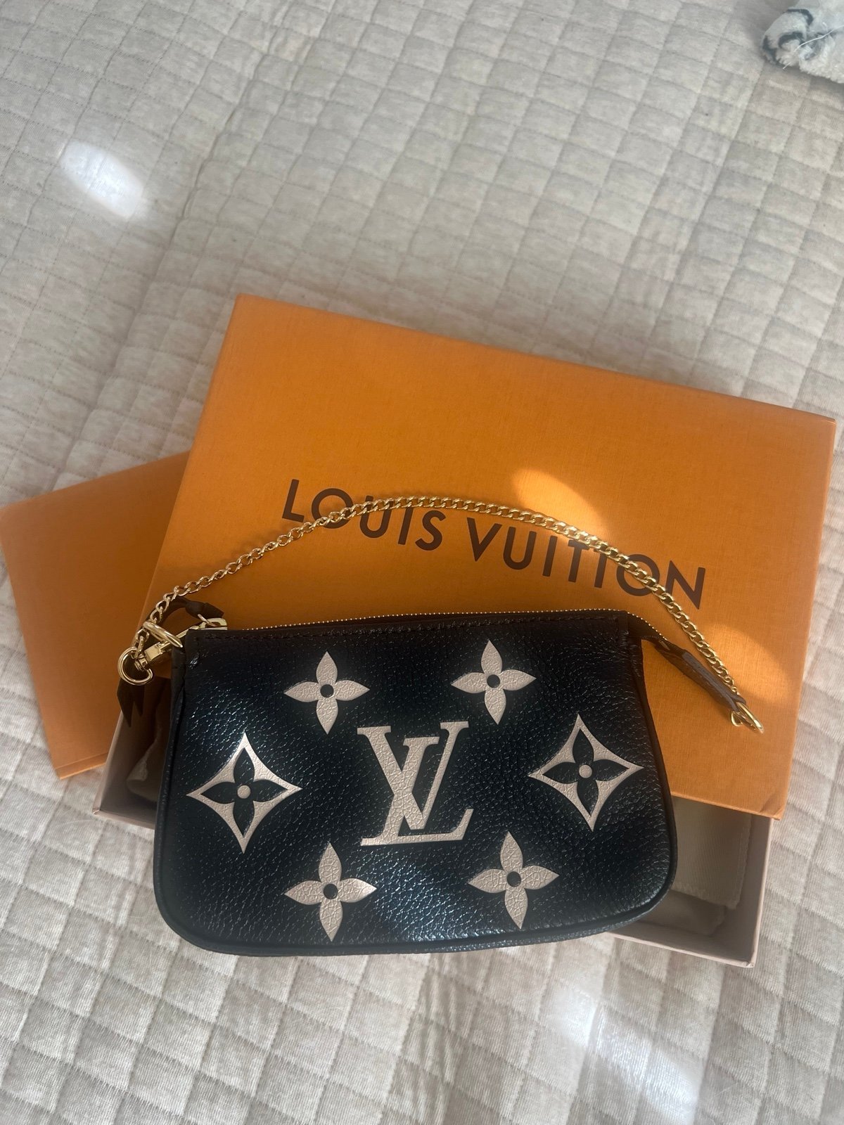 Louis Vuitton mini pochette
