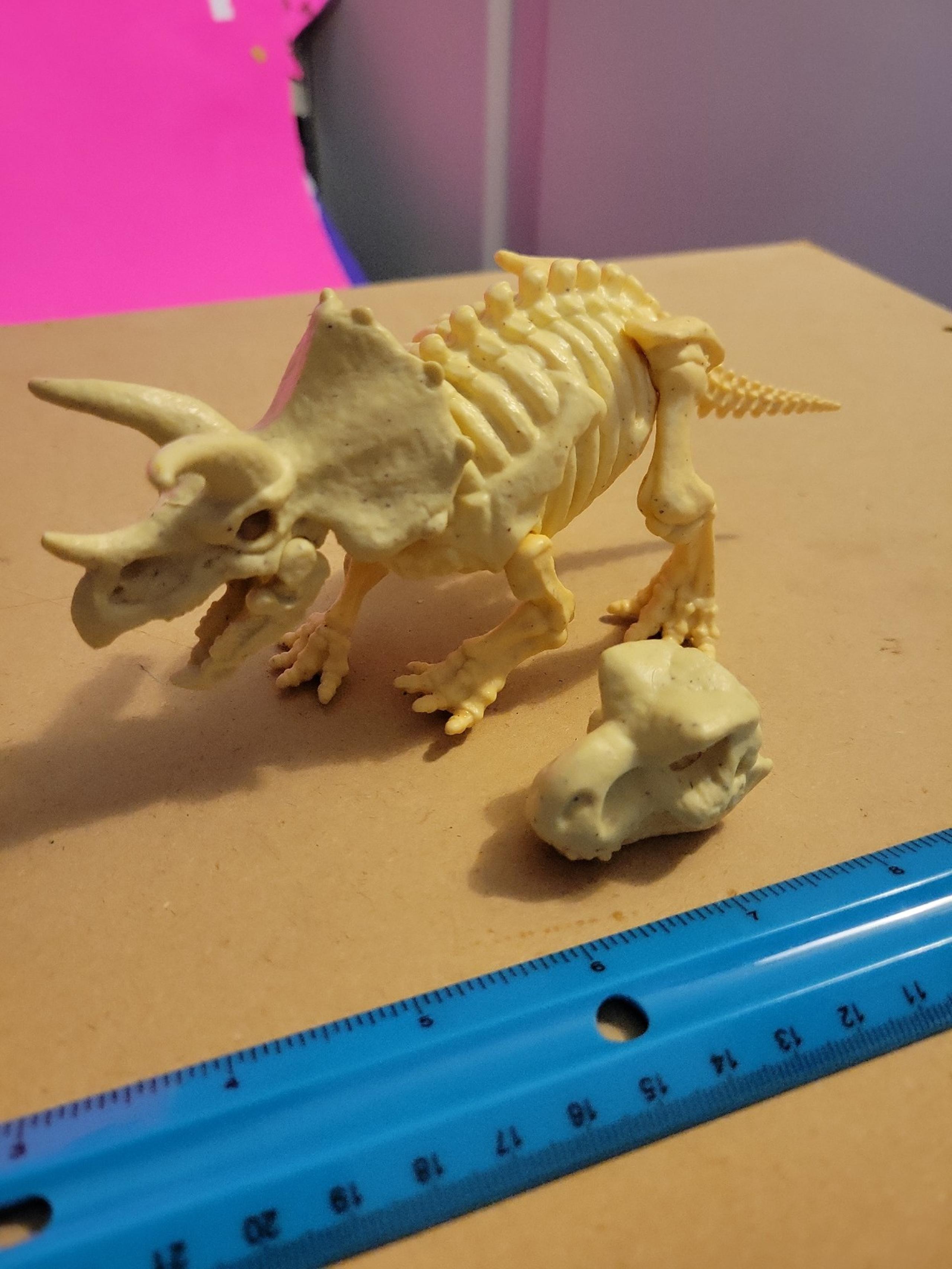 Zuru robo alive dino fossil find triceratops