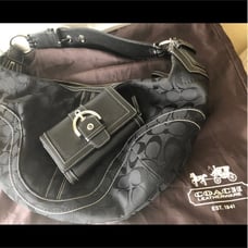 Coach hobo and buckle wallet