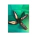 Size 10 Karl Lagerfeld Paris Woman Black Sugar Suede Leather Shoes