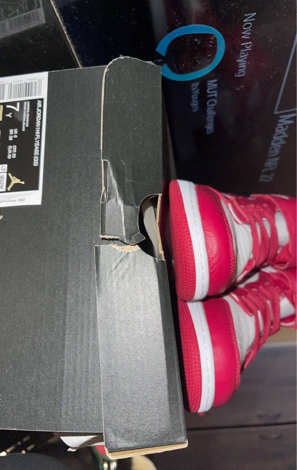 Nike Air Jordan 1 Hi FlyEase Shoes