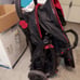 stroller