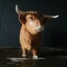 Vintage Beswick Highland Bull No 2008 with Original Sticker *Read
