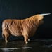 Vintage Beswick Highland Bull No 2008 with Original Sticker *Read