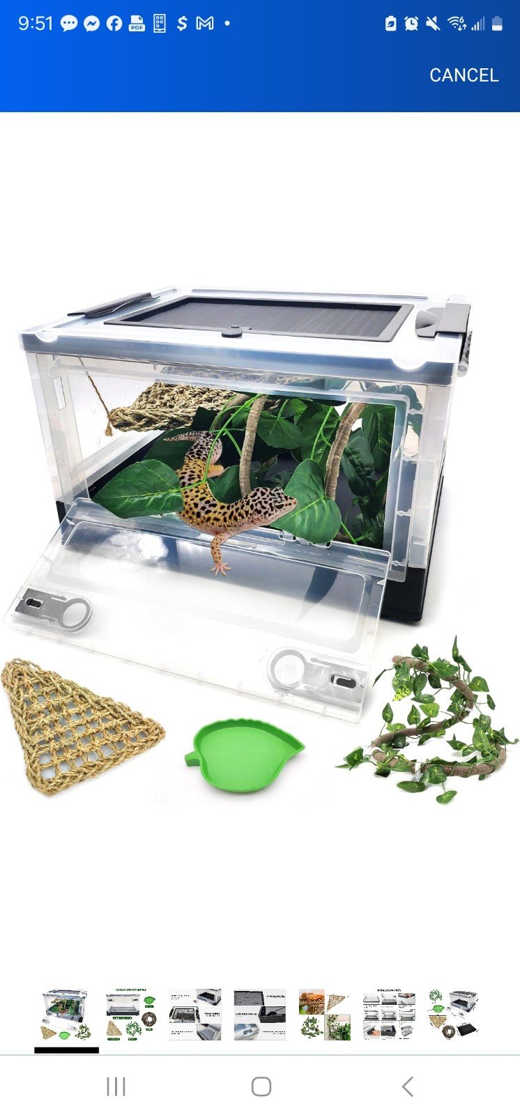 New reptile terrarium