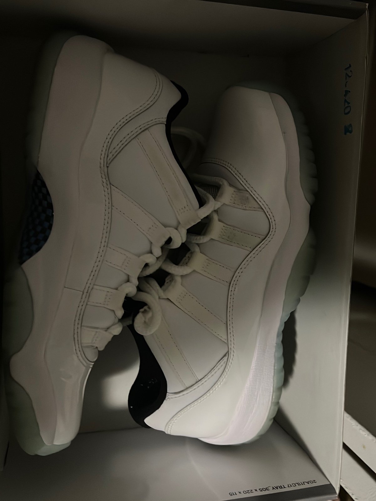 Jordan 11 retro Low (GS)