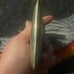Rare 1915 solid Sterling Dance/coin Purse w/orginal dance card/pencil!