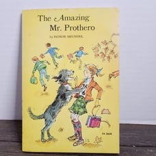 Vintage 70s Scholastic Paperback The Amazing Mr. Prothero by Honor Arundel