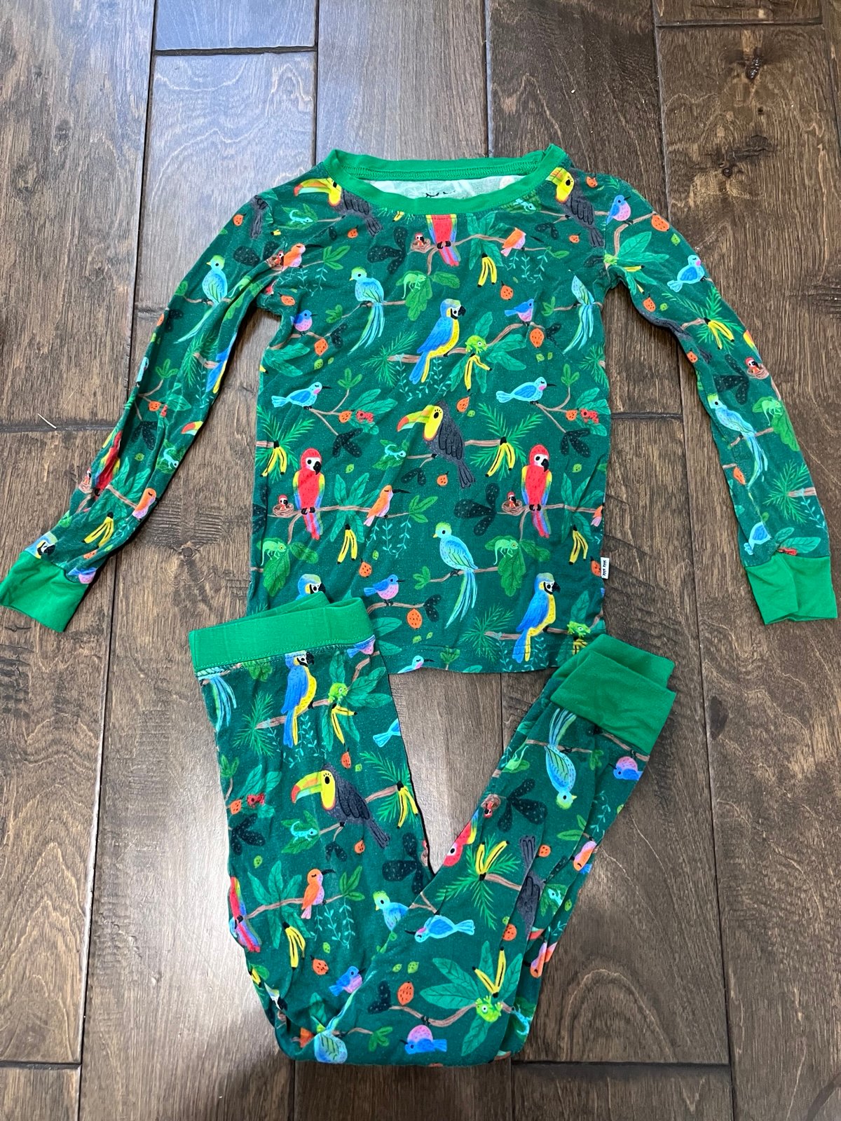 Little sleepies birds of a feather long sleeve pj set 3T