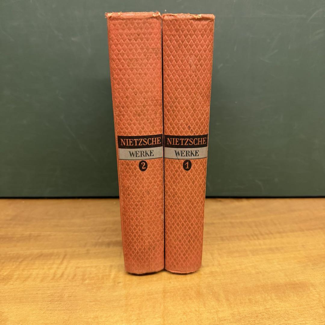 Nietzsche - Heidegger, Martin: 9783788501150 - AbeBooks