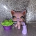 LPS Authentic #933 Shorthair