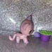 LPS Authentic #933 Shorthair