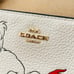 COACH Disney X Corner Zip Wristlet With Cruella Motif Chalk CC334 Leather NEW