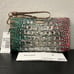 Brahmin CARNIVAL OMBRE MELBOURNE Leather DAISY WRISTLET Clutch Cosmetic Bag NWT