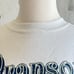 Vintage Branson Missouri Sweatshirt Large deer guitar music western cowboy rare