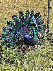 23 Tall Outdoor Metallic Peacock Tail Spread Yard Statue – Vibrant Garden Sculp