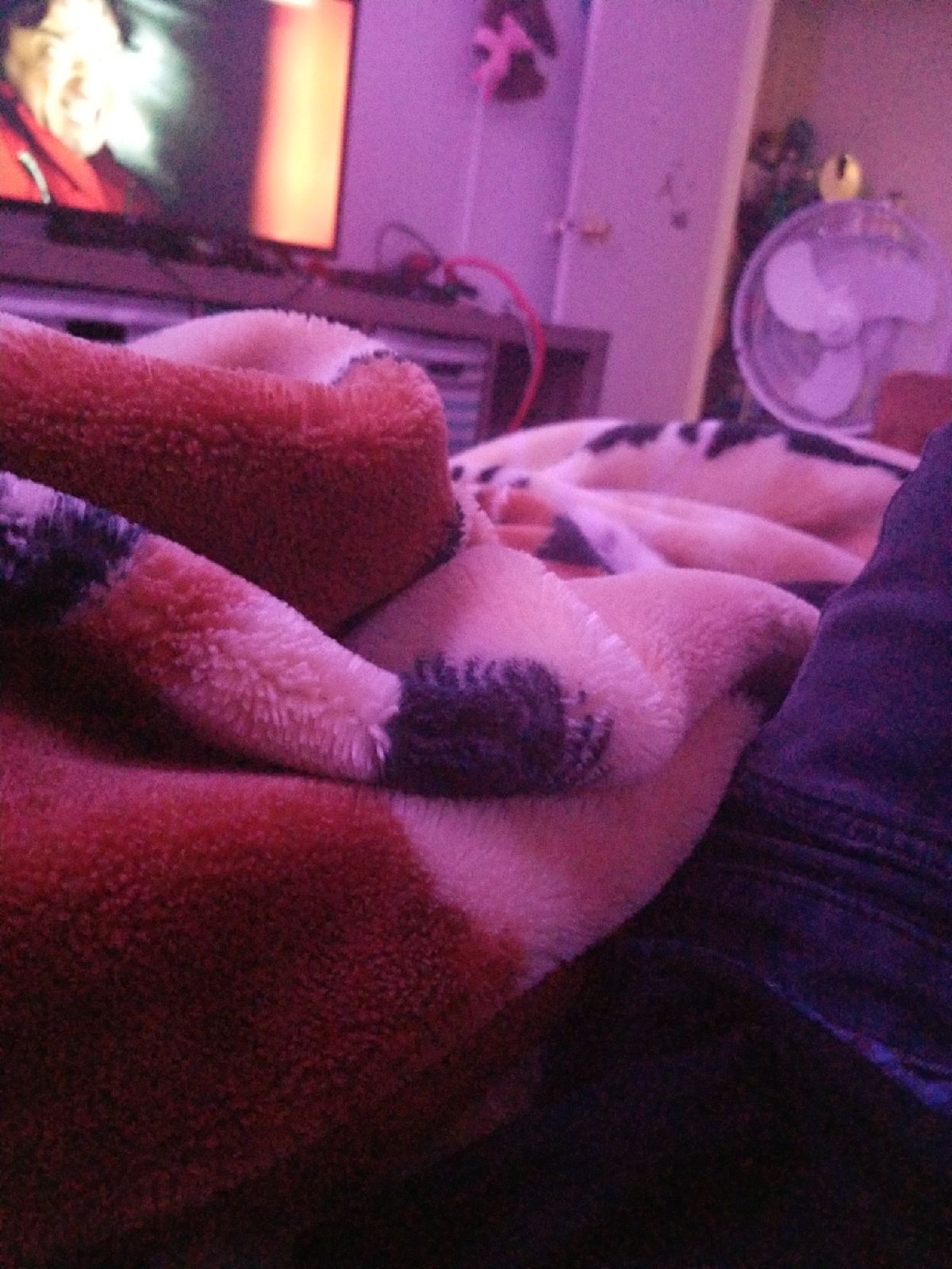 Blanket