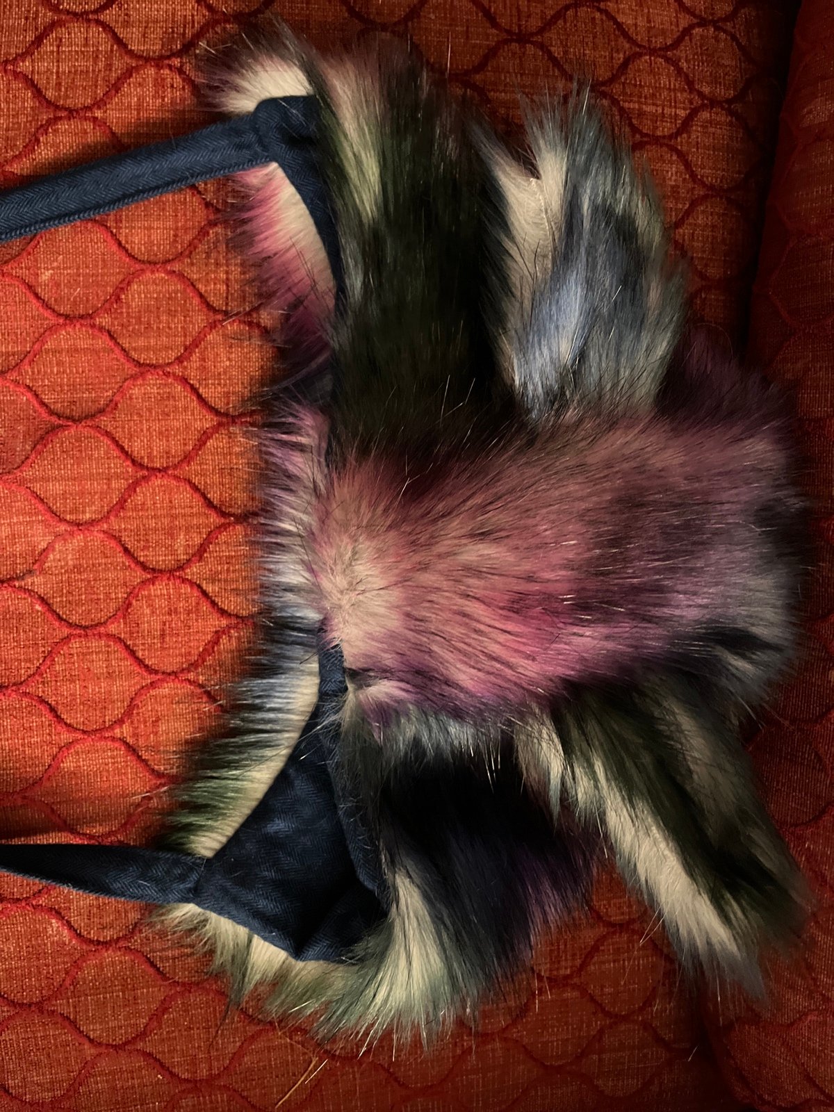 Native fable painted wolf