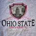 True Vintage 90s Jansport Ohio State University College Sweatshirt, Size XL