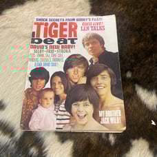 Tiger Beat Magazine