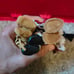 American girl mini Kaya,Josefina and Rebecca doll lot