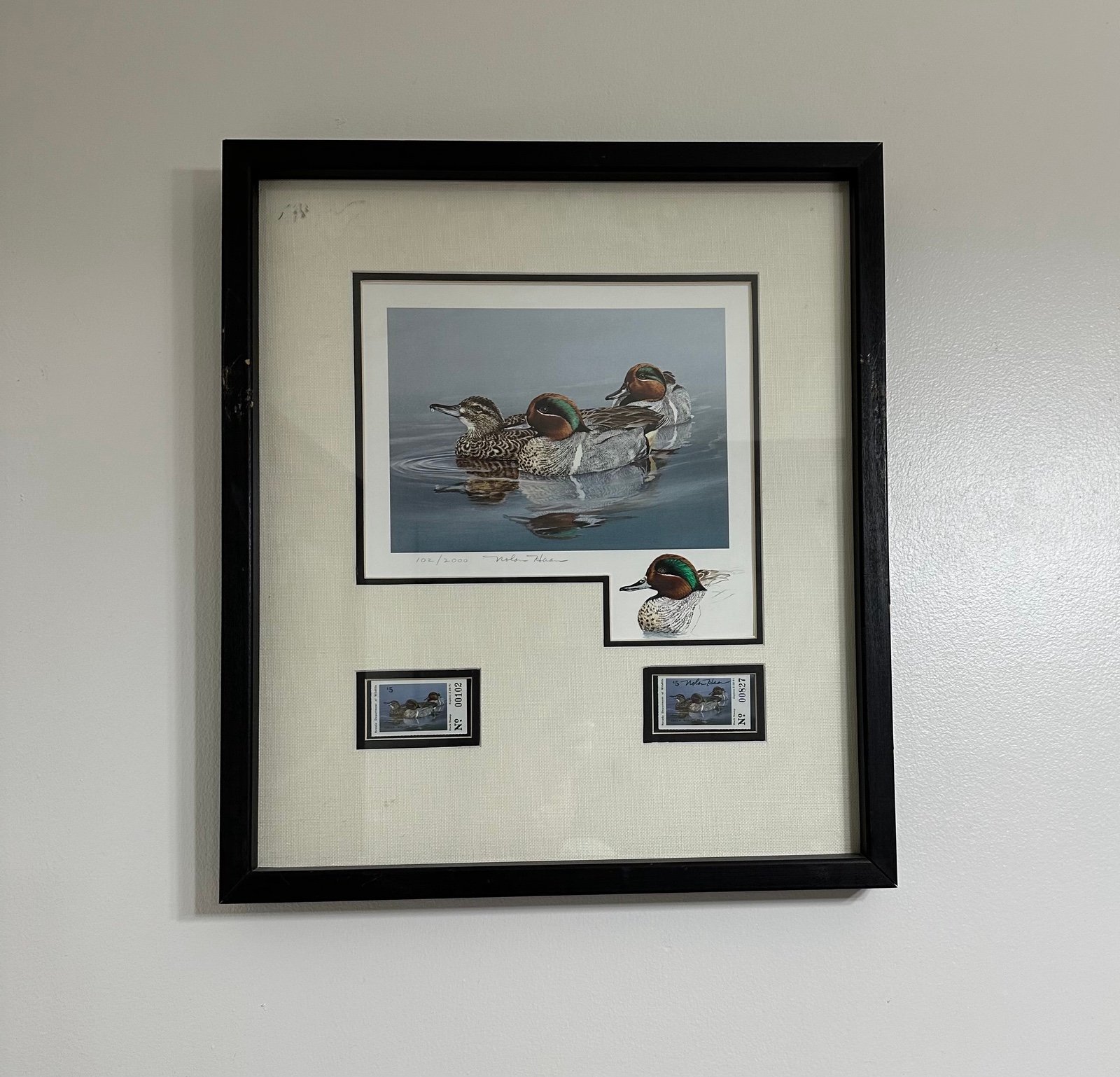 Nevada green head duck stamp