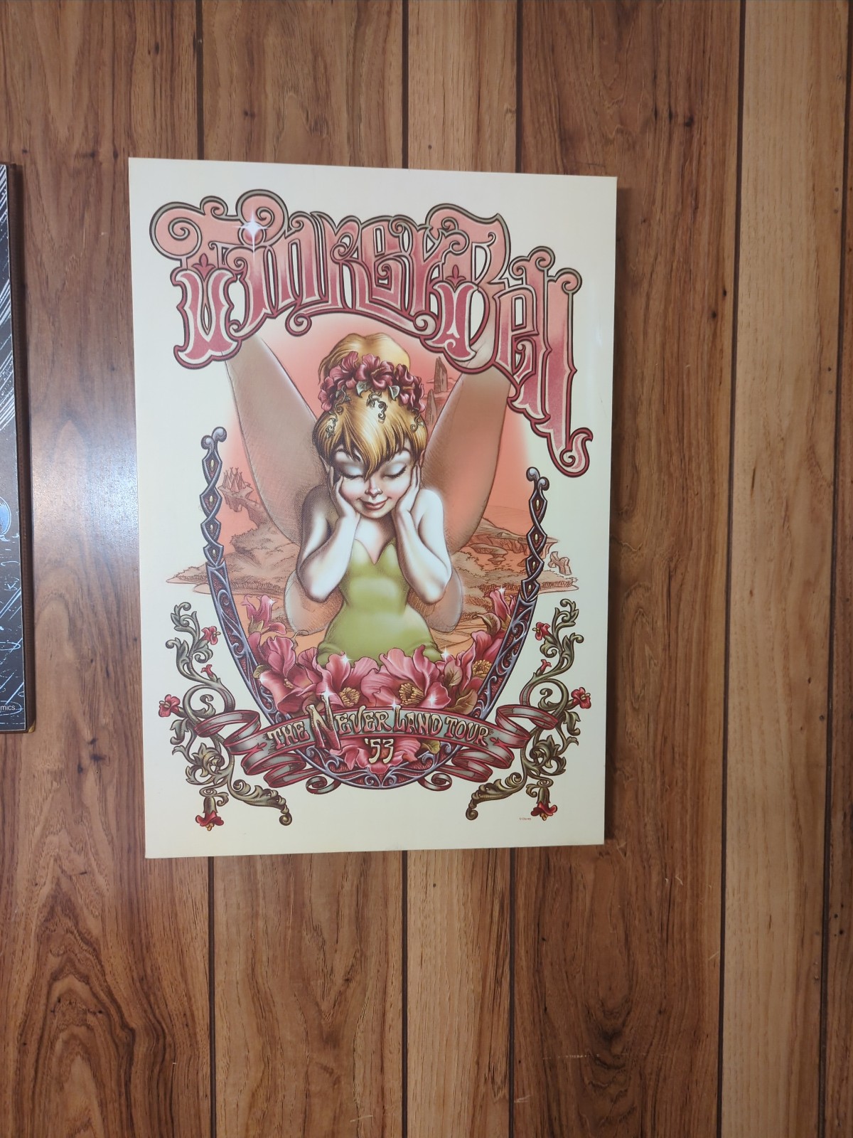Tinkerbell picture