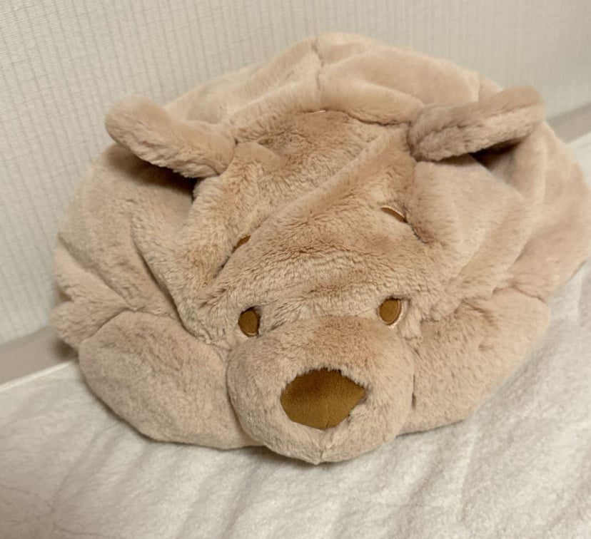 Tokyo Disneyland Disney Pooh (Beige) Fan Cap