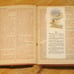 1889 Red Letter New Testament of OurLord