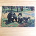 Vtg Yellowstone Postcard 1952 Haberstron