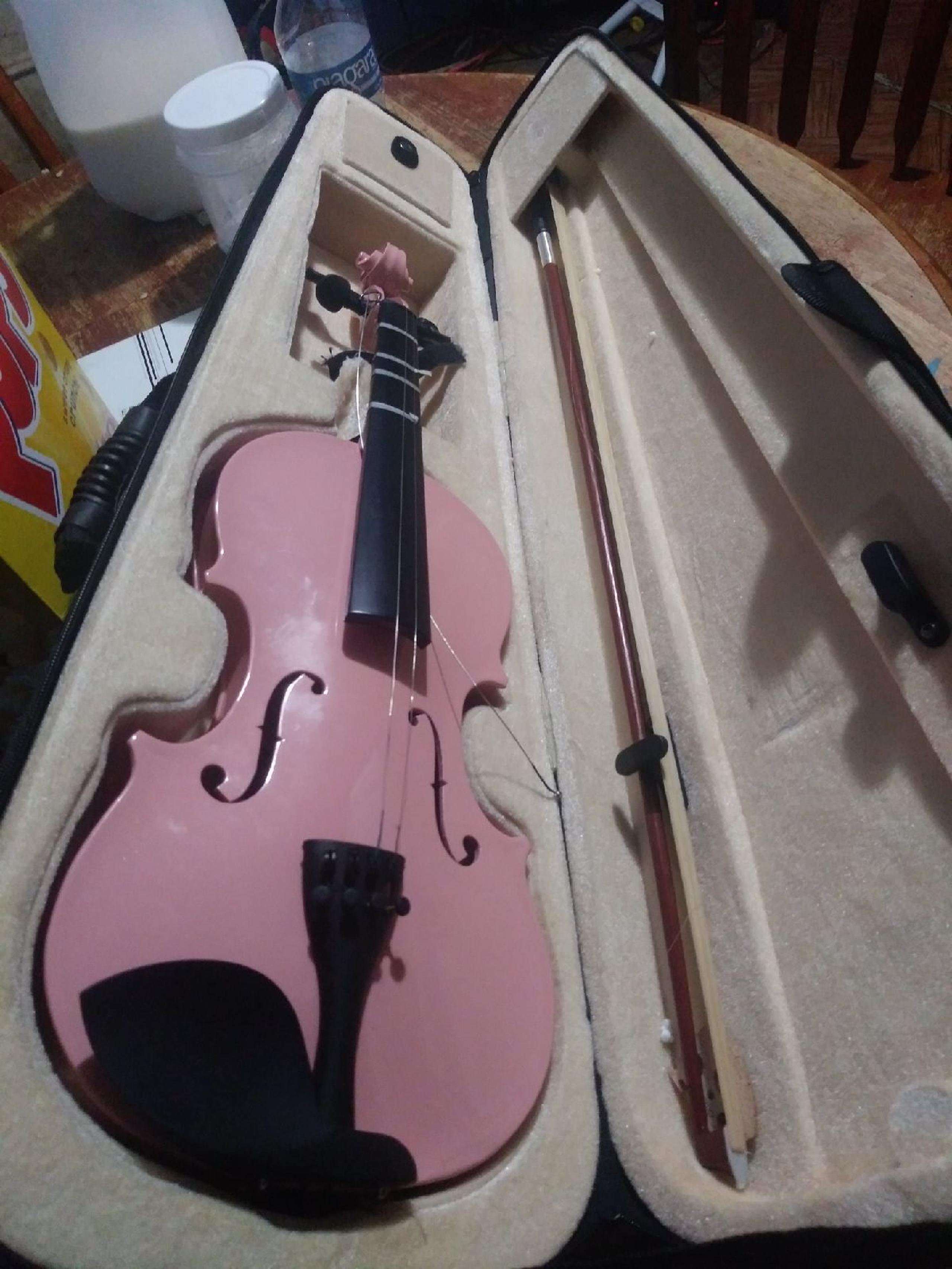 violin