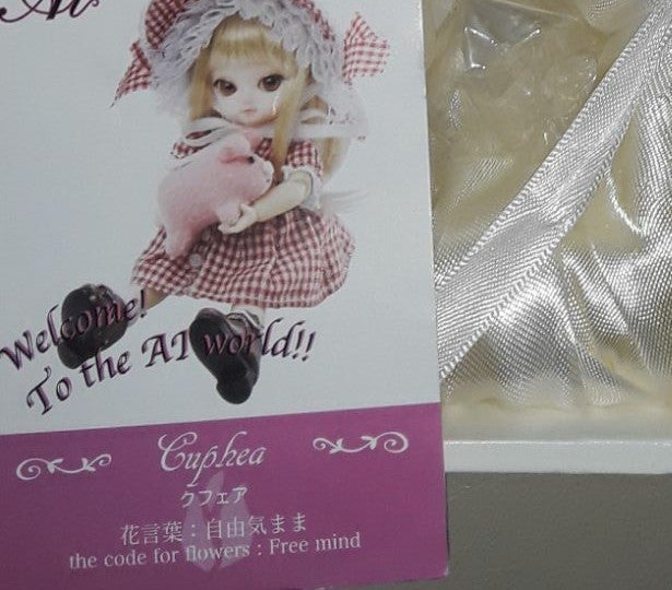 Collectible doll