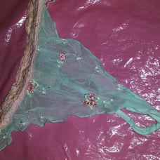 Vintage VS tulle thong