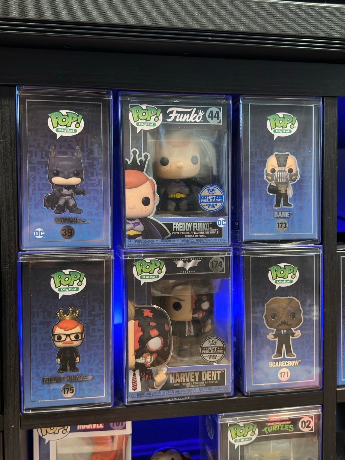 Funko Pop Please Read