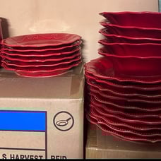 Pioneer Woman Red Set of Dinnerware