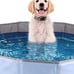 Dog pool