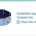 Dog pool