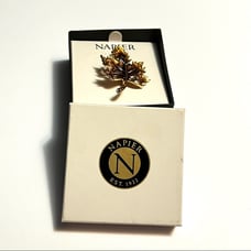 Napier Womens Classic Style Maple Leaf Brooch