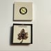 Napier Womens Classic Style Maple Leaf Brooch