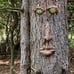 Tree Faces Decor Outdoor Large 15 inch, Extra Large Tree Faces, Old Man Tree